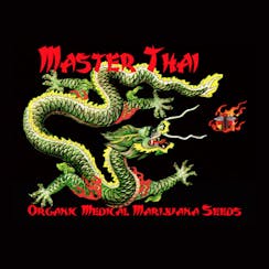 Master Thai logo